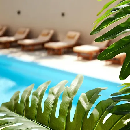 Lotus Rise - Adults Only 4* Hersonissos (Crete)